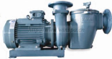 Emaux commercial swimming pool pump