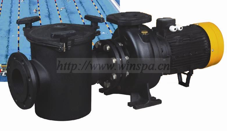 Heavy duty commercial swimming pool pump