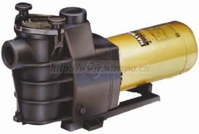 Hayward pump