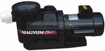 Pentair Magnium pump
